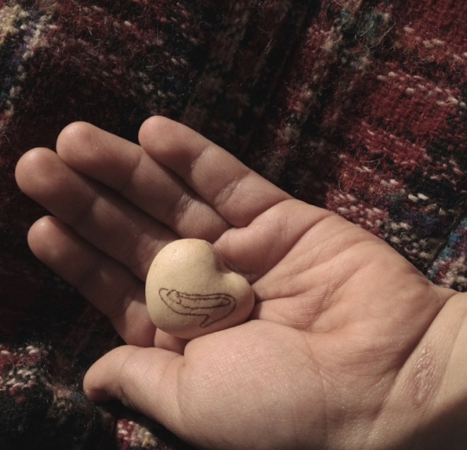 パックンチョ♥︎