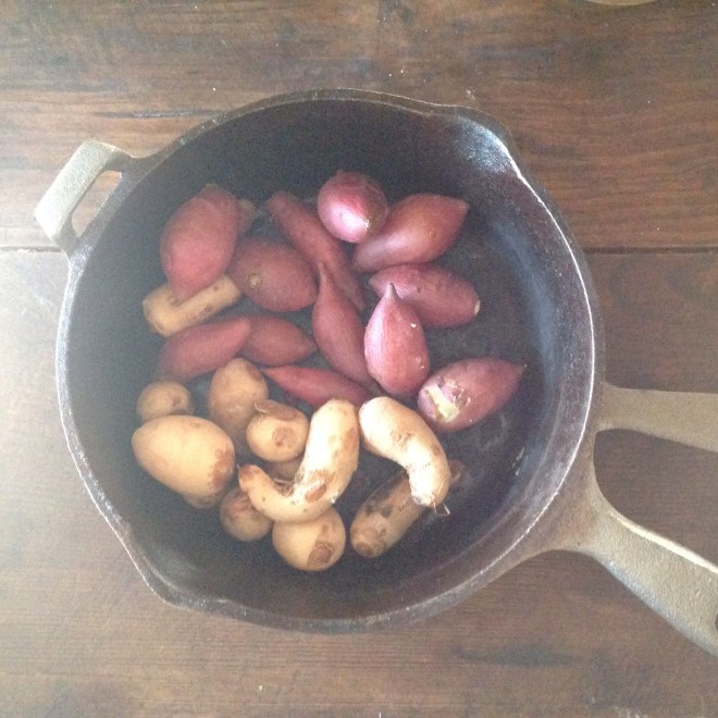 さつまいもさといも