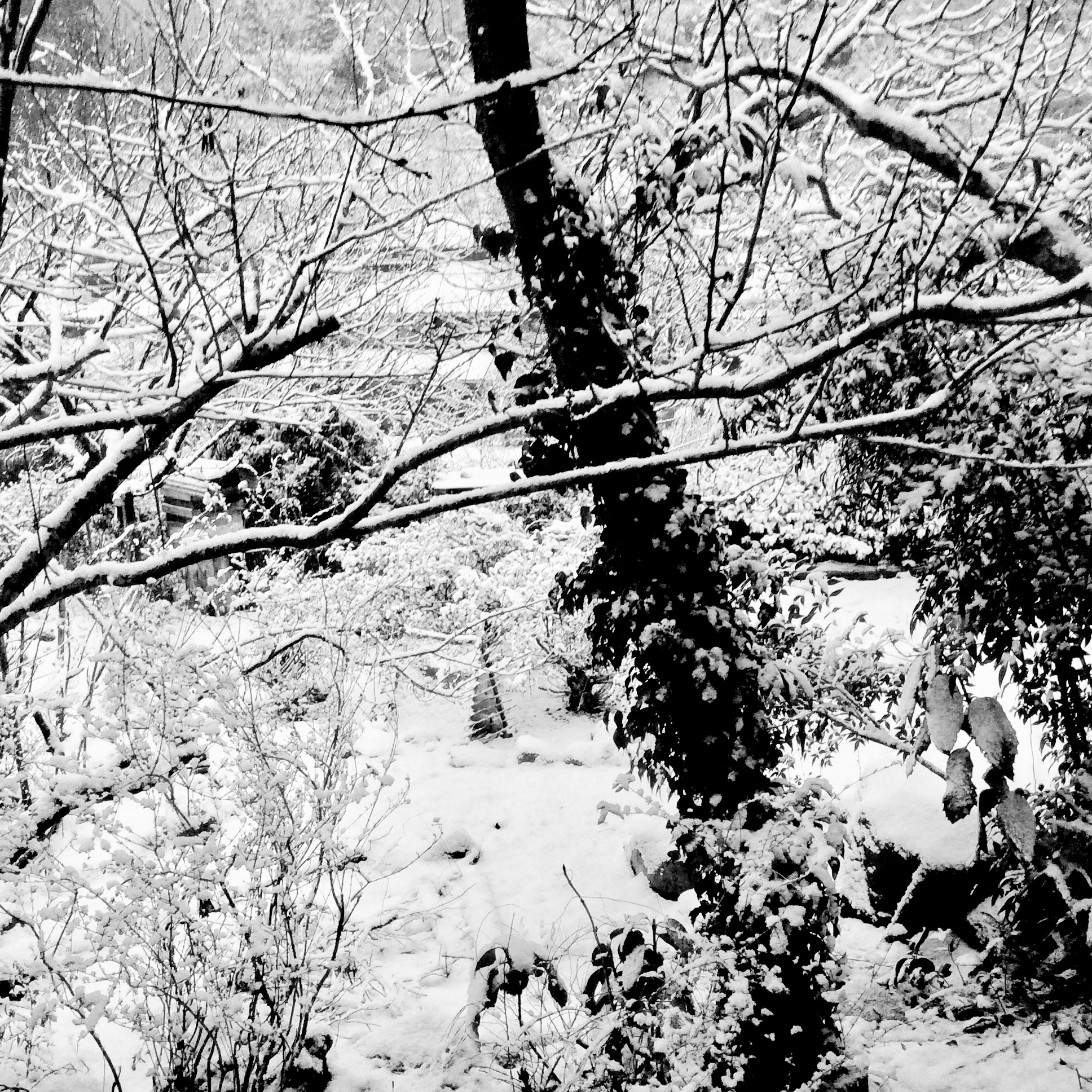 f2c2d234-a57b-4d48-b68f-3b873e692173