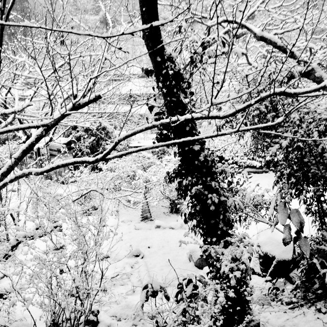 f2c2d234-a57b-4d48-b68f-3b873e692173