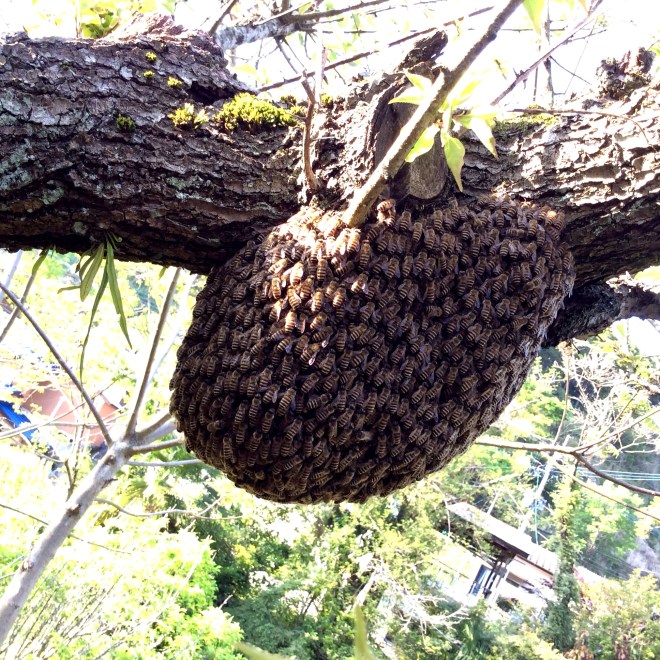 D3013829-E981-4D66-A55B-FA3807A652AC