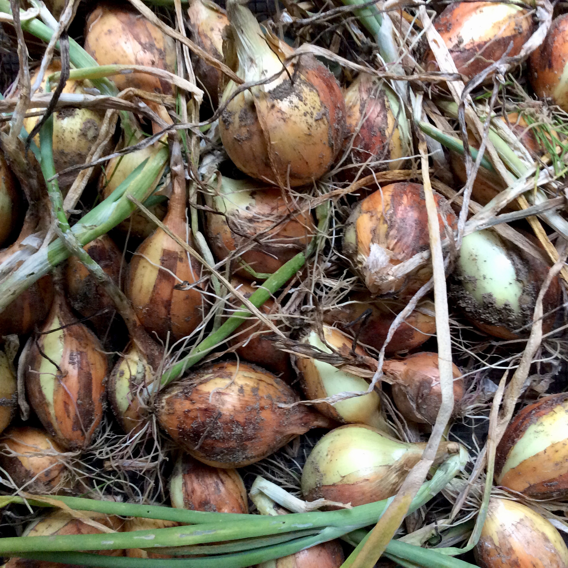 43021936-E28E-47D2-BE35-011E20CC2DE7