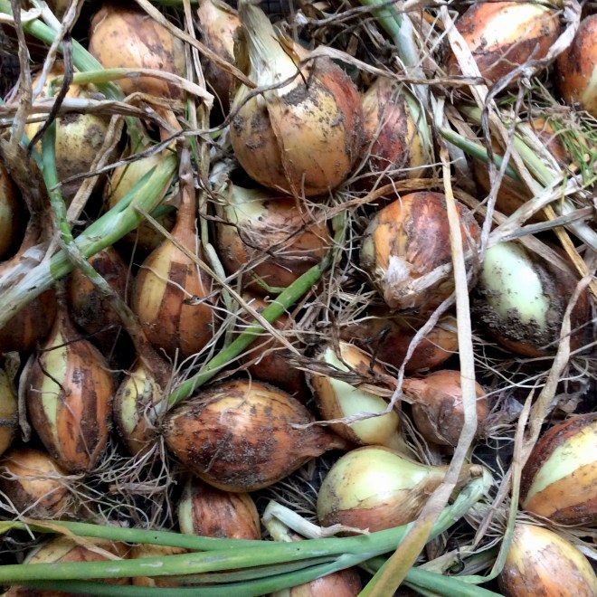 43021936-E28E-47D2-BE35-011E20CC2DE7