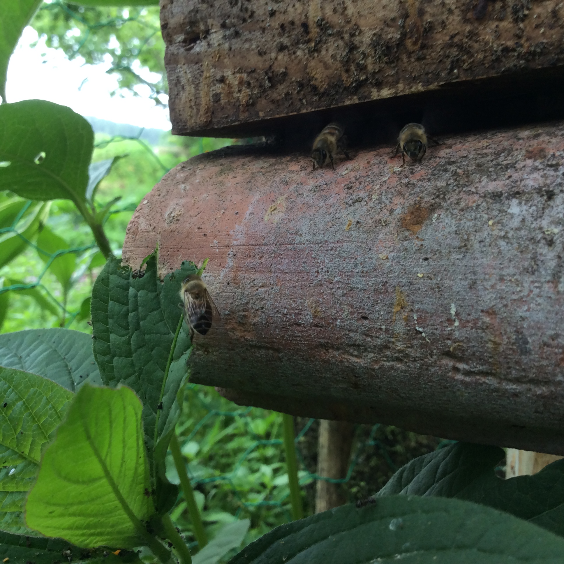 79CA509E-7C27-4822-A0C1-CA533248EB44