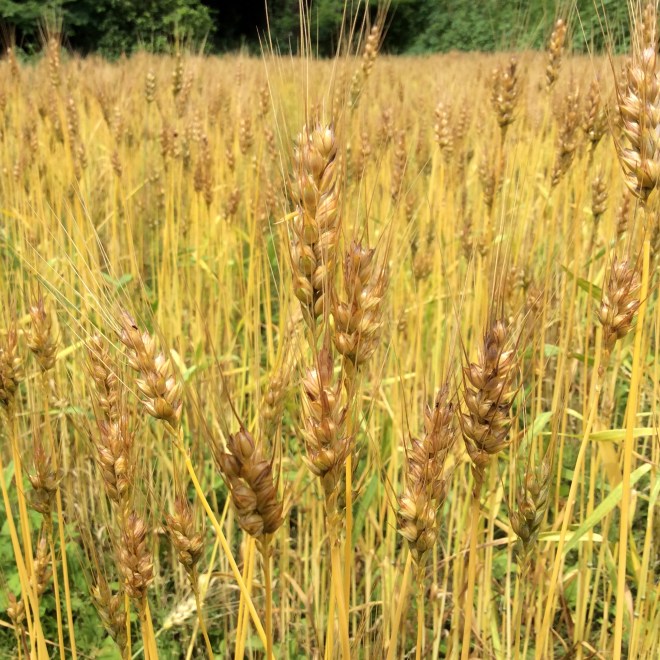 83B925C1-4B25-406B-8D57-83D311945209