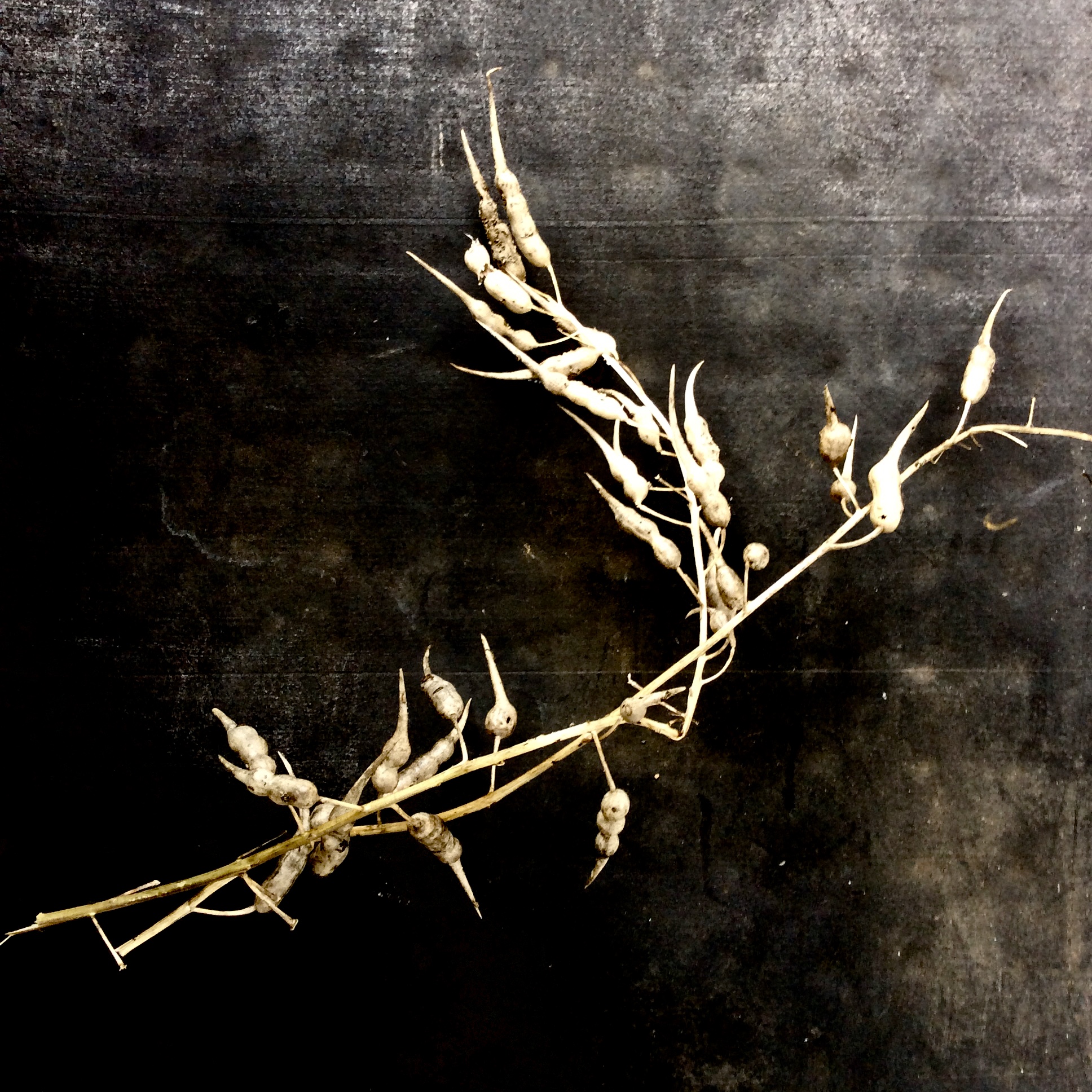 485064D5-8F18-47BD-8F25-CEEA9D1C577C