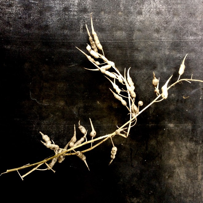 485064D5-8F18-47BD-8F25-CEEA9D1C577C