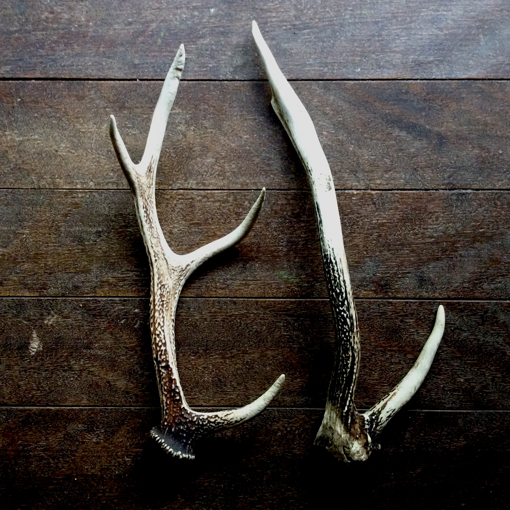 54933A35-2328-4F00-ACCA-FBC1517CCE15