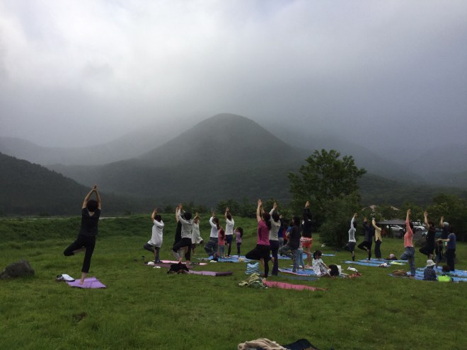 C2623CDD-923A-40EC-B202-050D164FF2CC