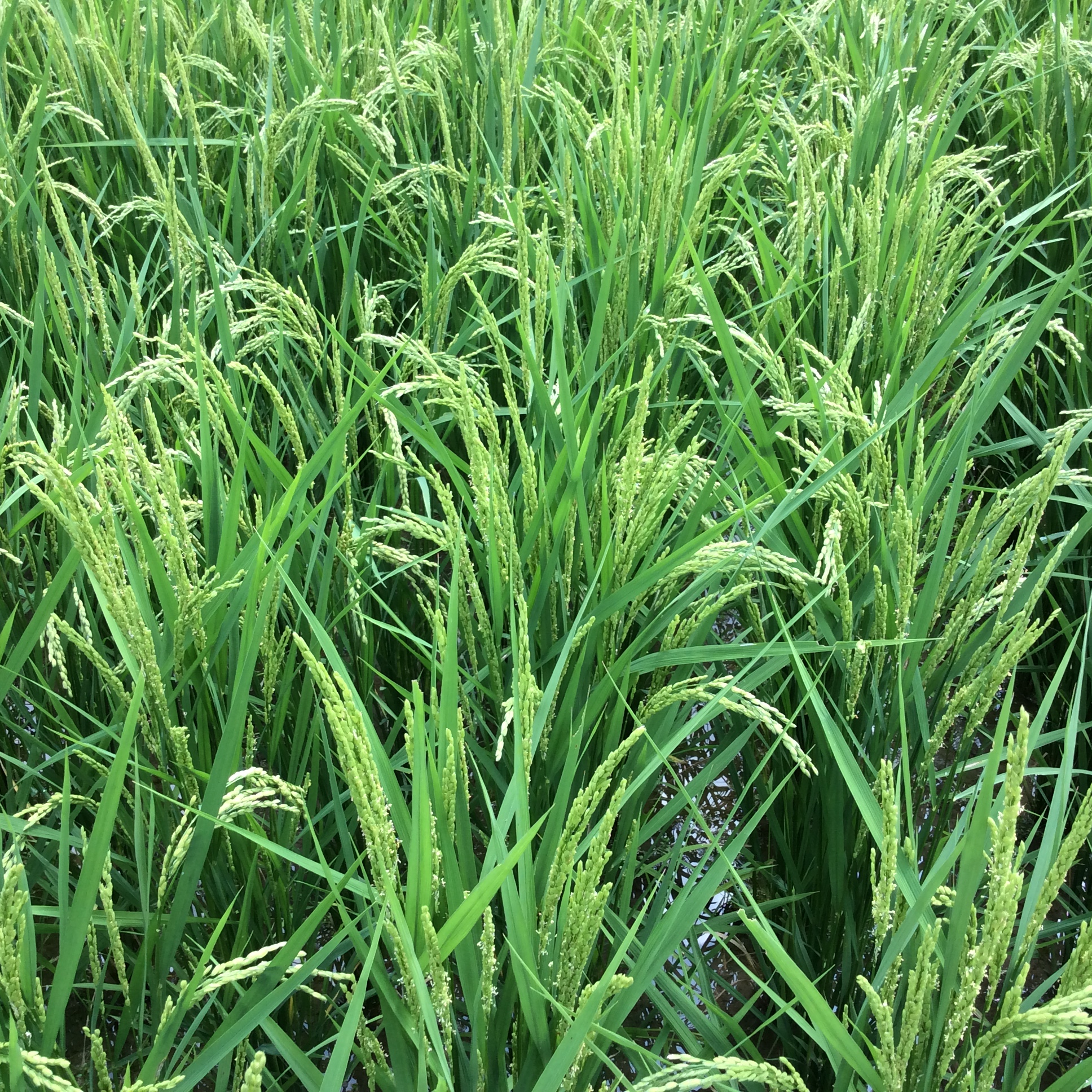 7071A42F-9A34-4BD4-990E-18109F725757