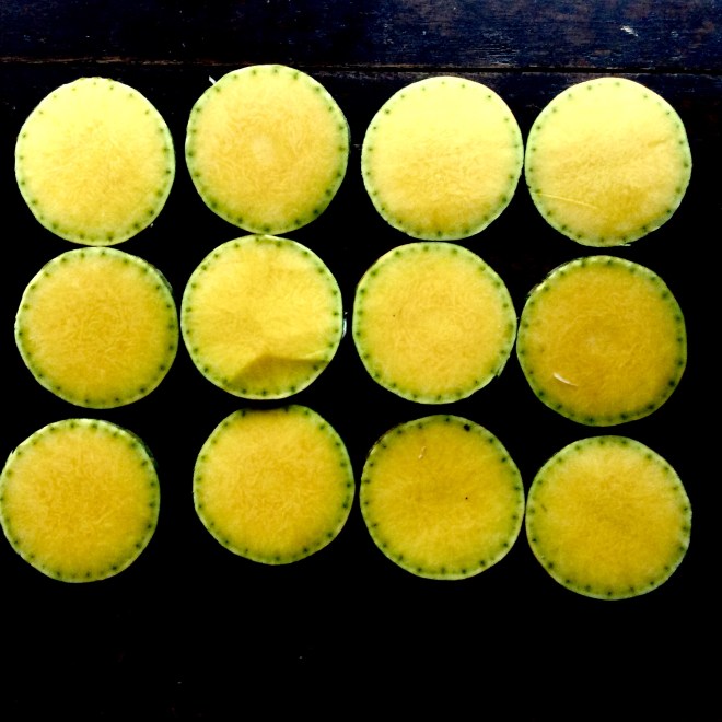 24E000BF-3554-4C15-ADF6-47E801932EE0