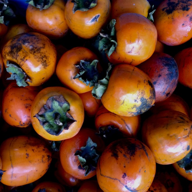 5696800E-E5E2-41CF-BC70-4739A8971B13