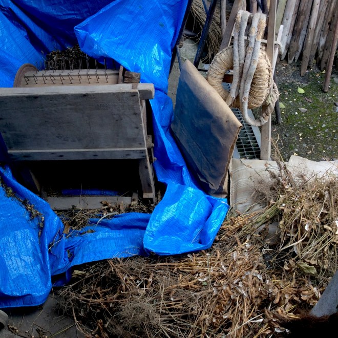 5C3BF688-0D41-4F9F-808E-32B78C0C44AA