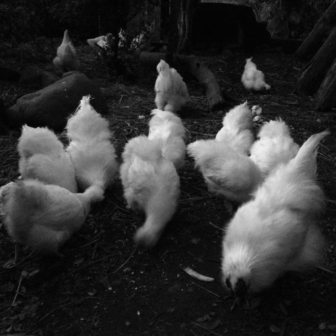 9C13D3C0-0D03-4E8C-86EA-F494FE6B4502