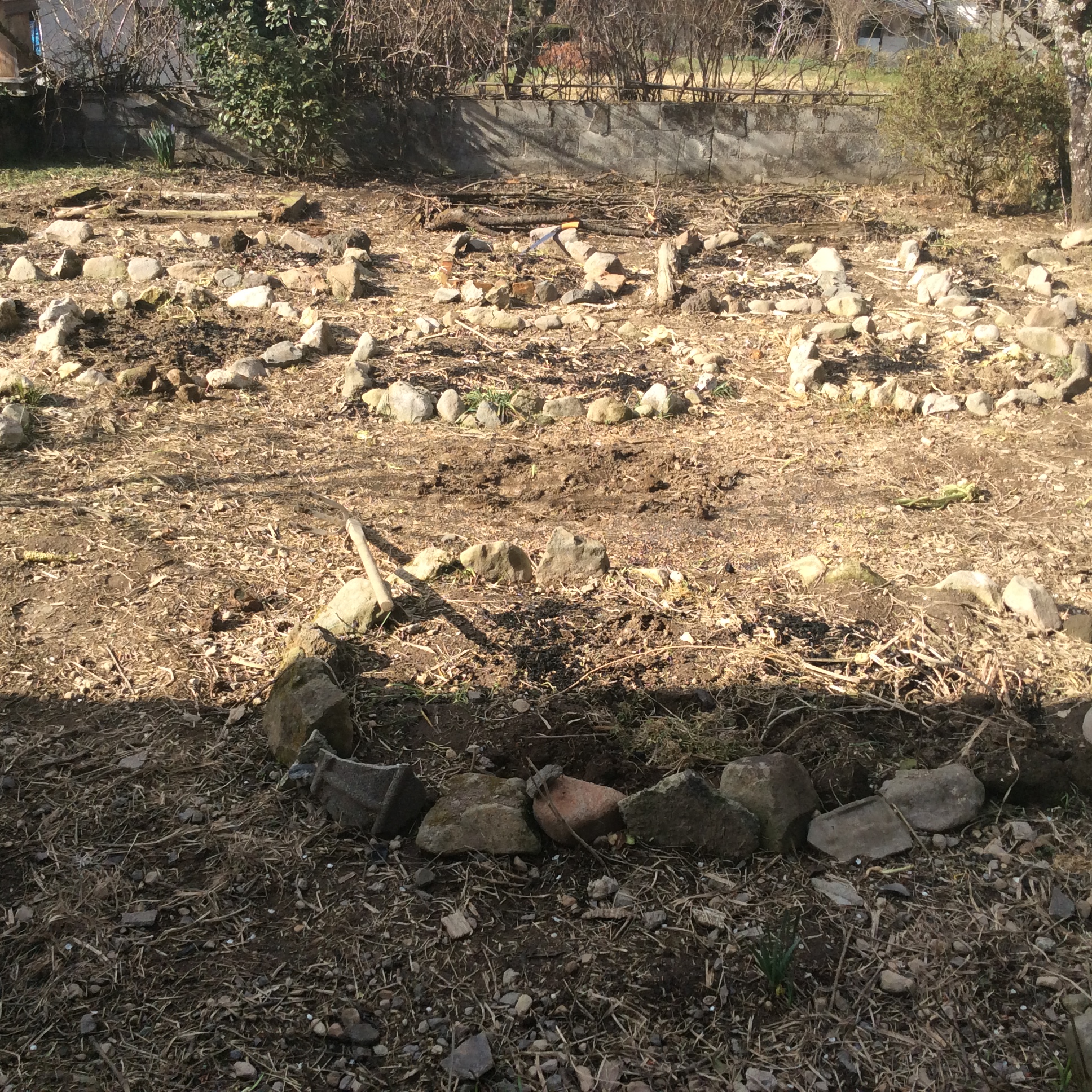 Stone circle /Kitchen garden