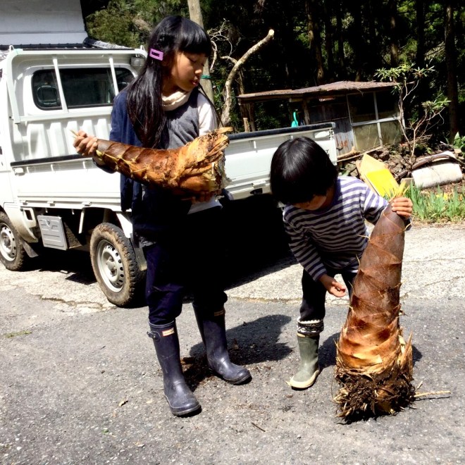 かぐや姫には会えず\2020