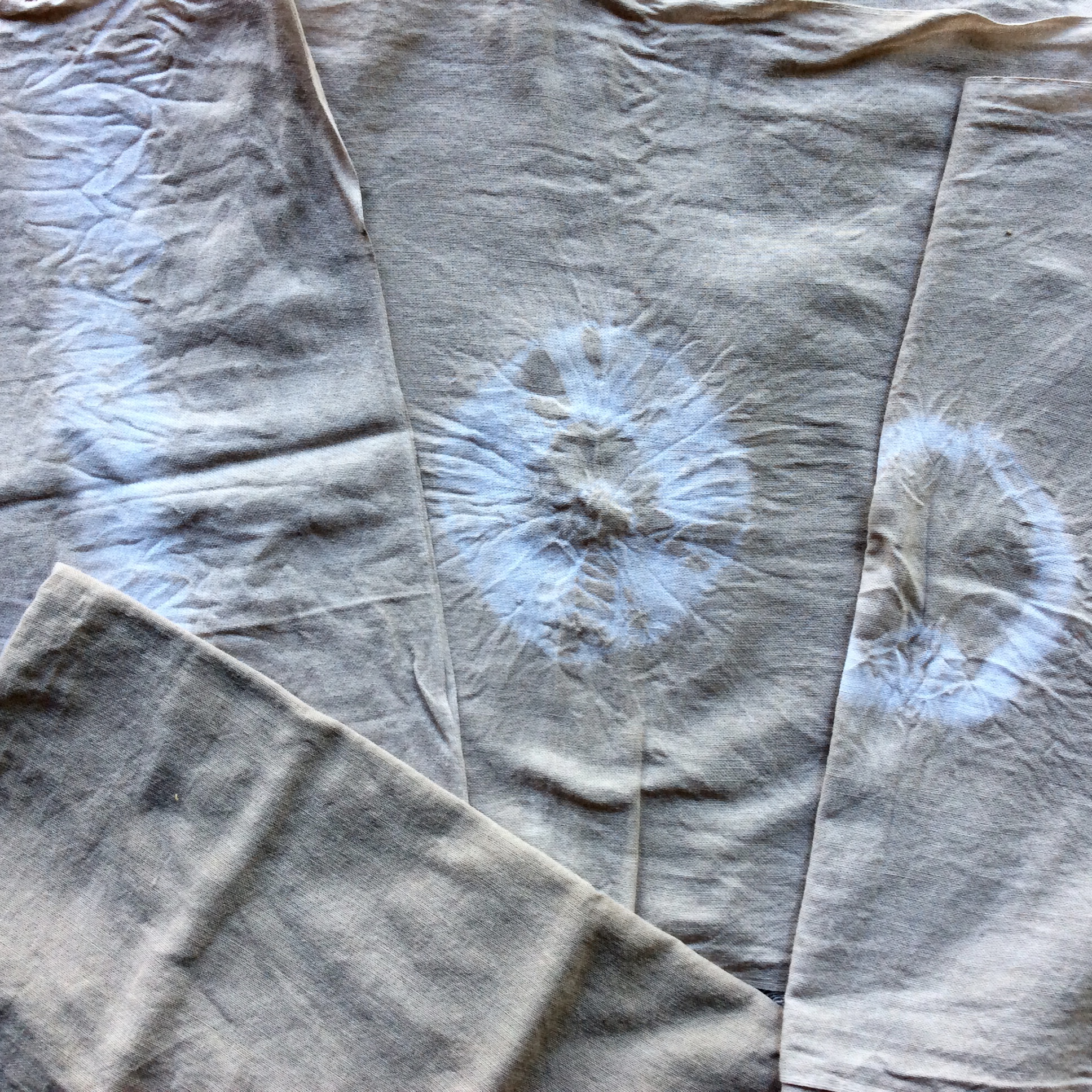 ひじき染め\2020