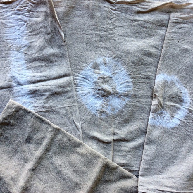 ひじき染め\2020