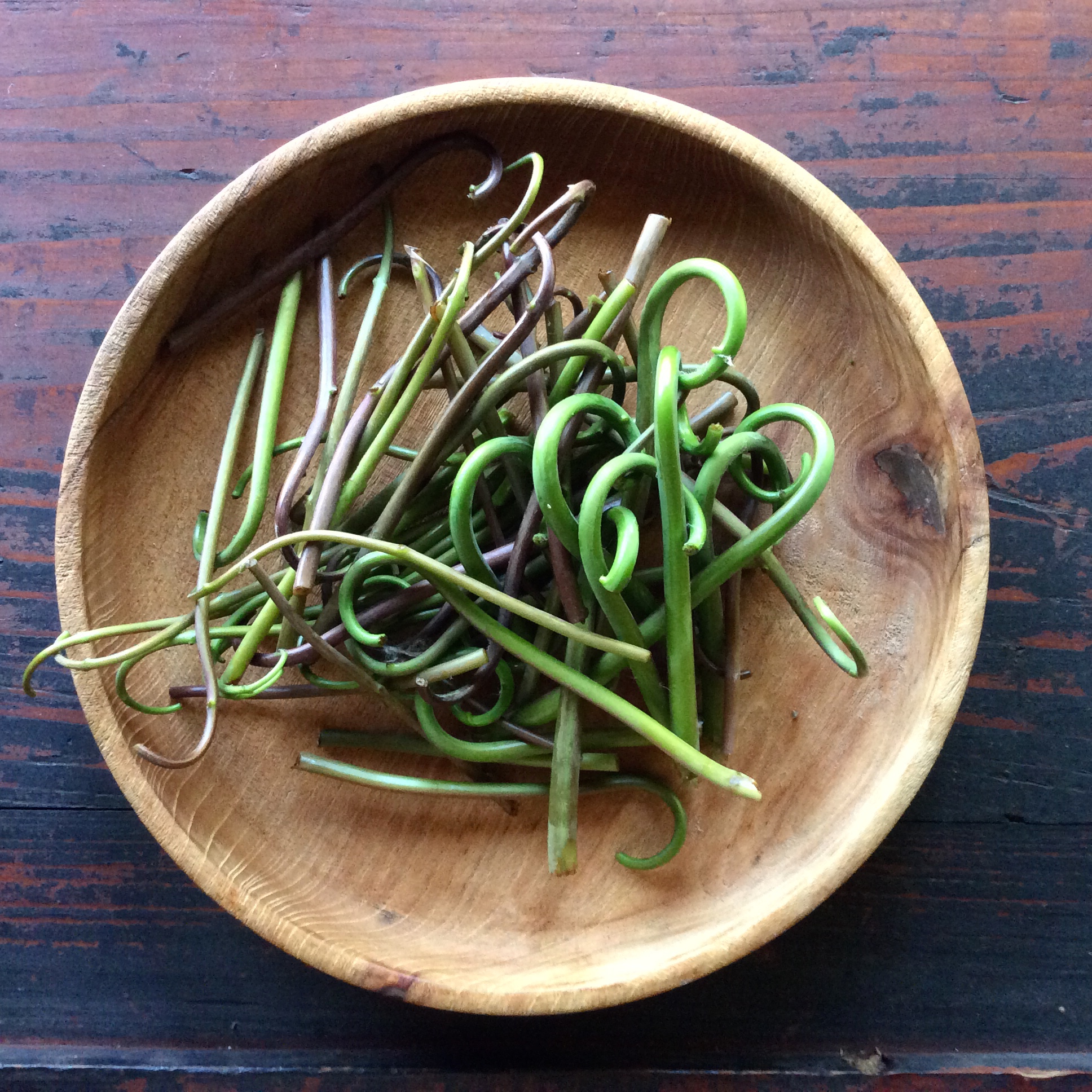 ぜんまいくるくる