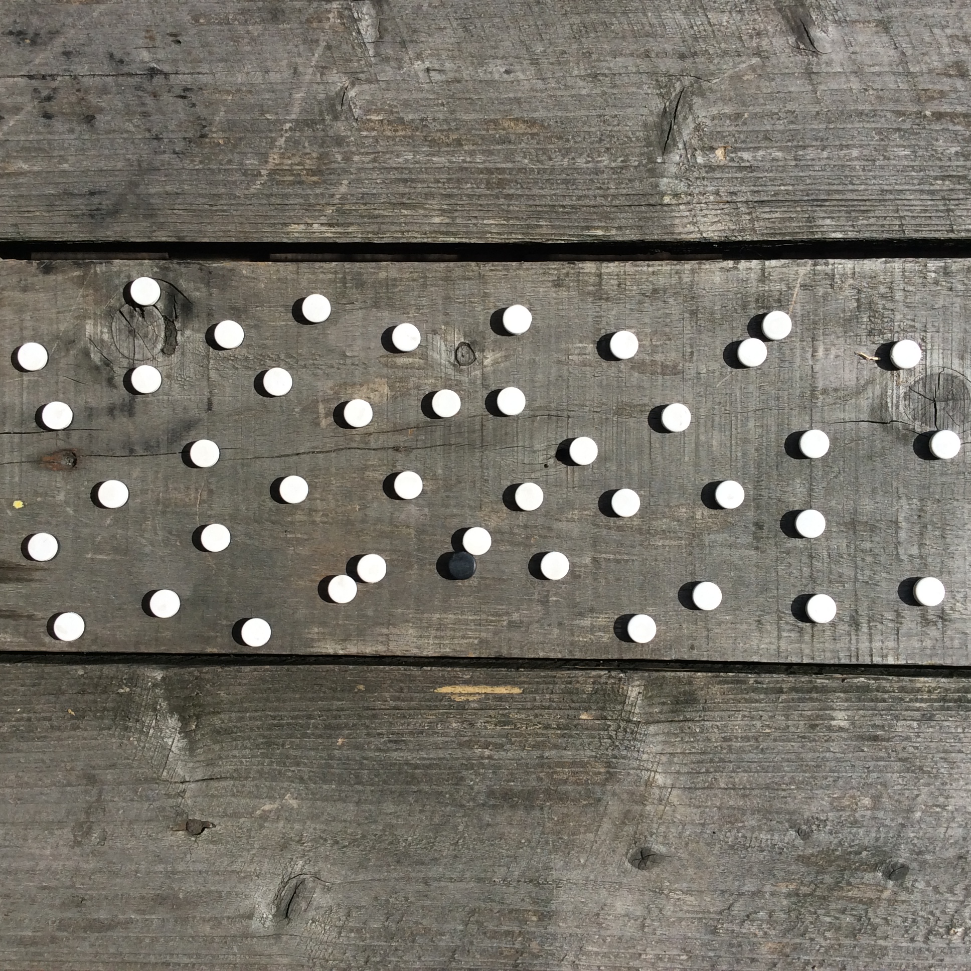 オセロ天日干し