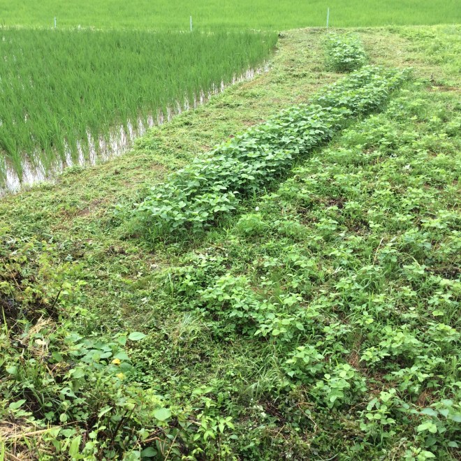 34DA00D5-5FAF-4DEF-97A5-339F1FE58DFA