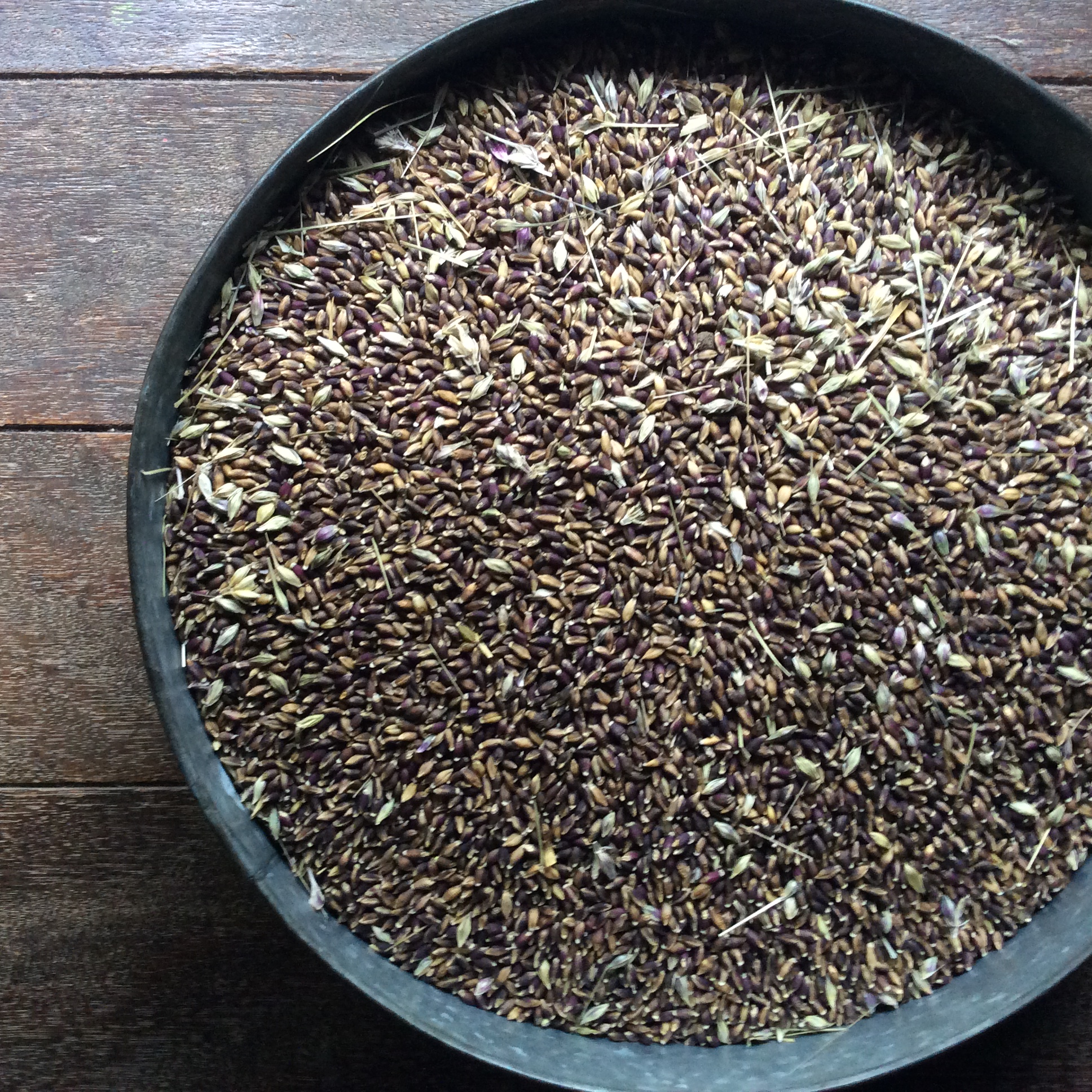 4E6D2792-94E4-4CC0-BD04-1F43DC8F90CB